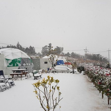הוילה Jeju Starlight Glamping מראה חיצוני תמונה